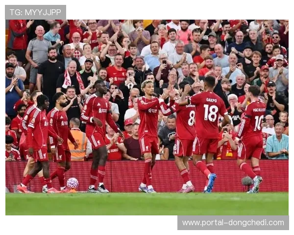 利物浦夏季转会阵容调整 两翼攻击力大幅减弱 利物浦夏季转会阵容调整 两翼攻击力大幅减弱