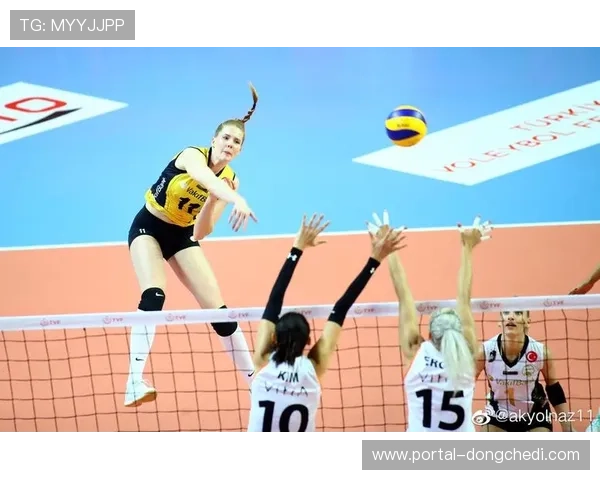 米娅复仇成功,夺得北极赛季首冠 米娅复仇成功,夺得北极赛季首冠